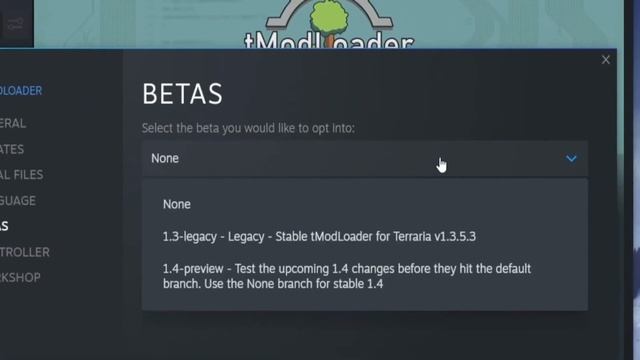 How To Change TModLoader Version