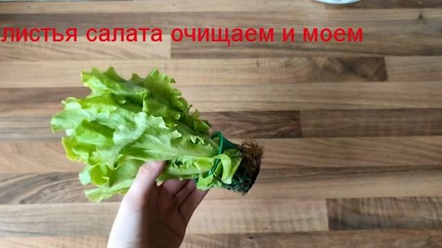 Салаты с Авокадо