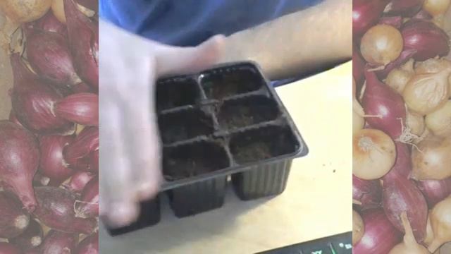 ПОСЕВ ЛУКА ЧЕРНУШКИ НА РАССАДУ // ВЫПУСК#20 смотреть онлайн