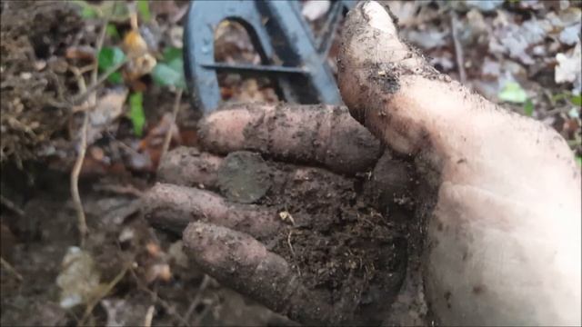 Detectie cu Fisher F75 in conditii de umiditate 100%. смотреть онлайн