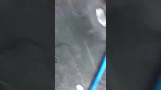 Половили щучек 12.10.2020 . Рыбинка. Рыбалка на Рыбинском водохранилище. смотреть онлайн