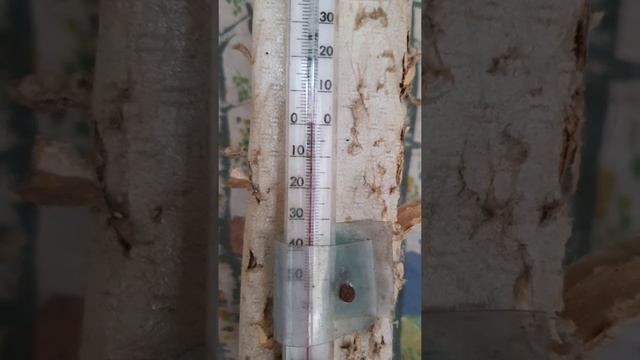 24.10.2019 СТРАШНЫЙ ТЕМНЫЙ ОСЕННИЙ ОГОРОД!ОДНА НА ДАЧЕ.😌😗😲 смотреть онлайн