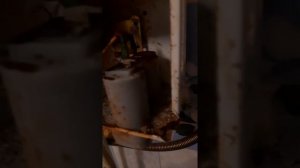 поломка газовой колонки vector,нет искры