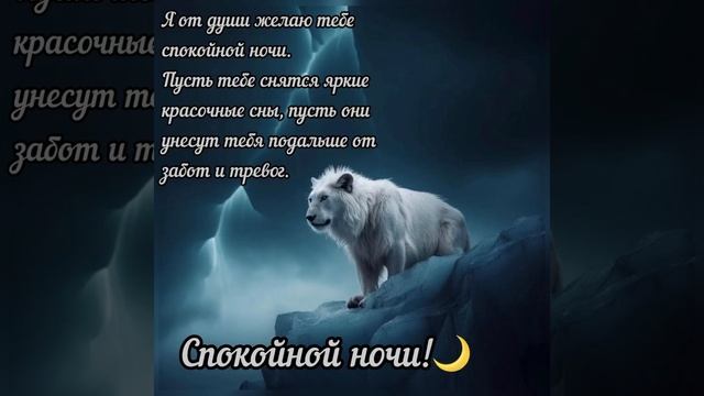 Спокойной ночи ? Приятных и нежных снов ???