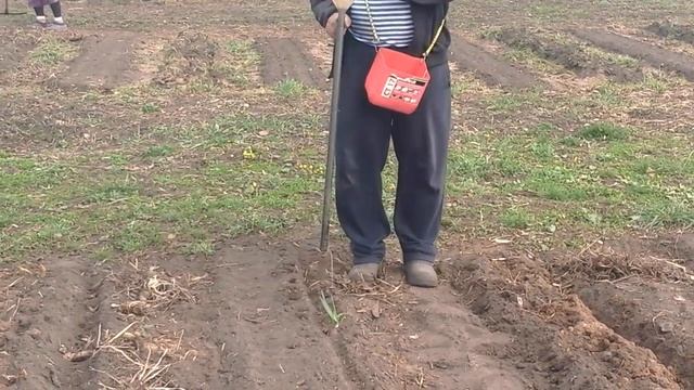 (24)Демонстрация работы ручной сажалки для лука , чеснока , фасоли . . . смотреть онлайн