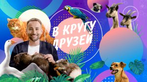 СМОТРИМ! Шоу о животных "В КРУГУ ДРУЗЕЙ" - В СУББОТУ В 11:50 // АНОНС