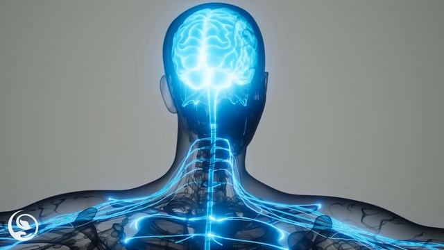 Ondas Alfa (Advertencia: ¡Muy poderosas!) En 15 minutos, Cura el Daño Corporal y Alivia el Estrés смотреть онлайн