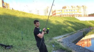 Удилище карповое KAIDA FURYA 3,9m 3,5 lb