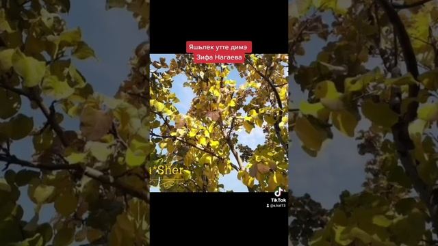 Dynamo_1655143564737.mp4