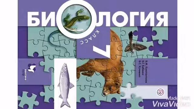 §3 Классификация животных и основные систематические группы смотреть онлайн