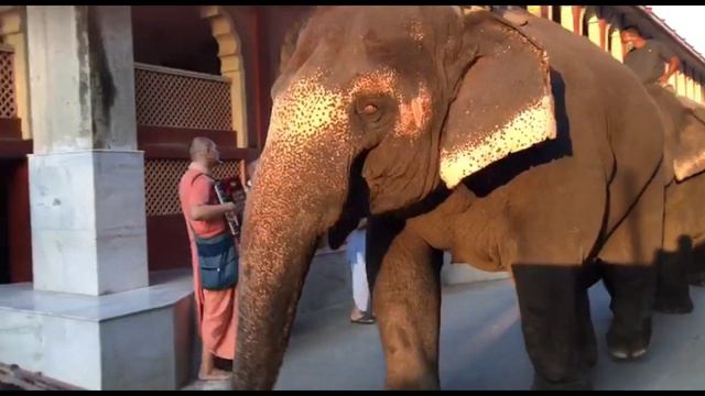 Песни Кришнаитов. Часть 13. Кришнаиты поют. Видео Кришнаиты. Маяпур. Маяпур Индия. Маяпур Храм.