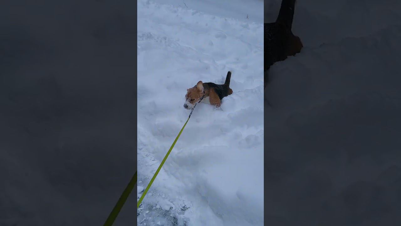 танки снега не боятся смотреть онлайн