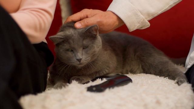 ЧТО ГОВОРЯТ ВРАЧИ О ПРОГРАММЕ 5ELEMENT