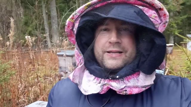 Спасаю слабые отводки перед зимовкой с сохранением матки. смотреть онлайн