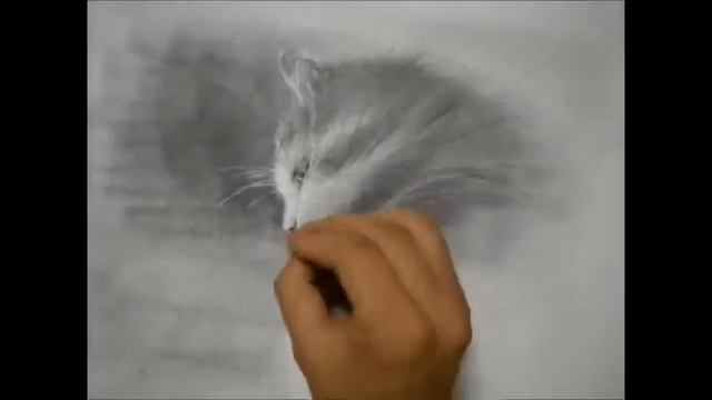pencil sketch - 45분 연필그림(고양이)그리기 - 김형경 смотреть онлайн