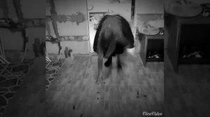 Тили-Тили Бом))) Ужастик!!!