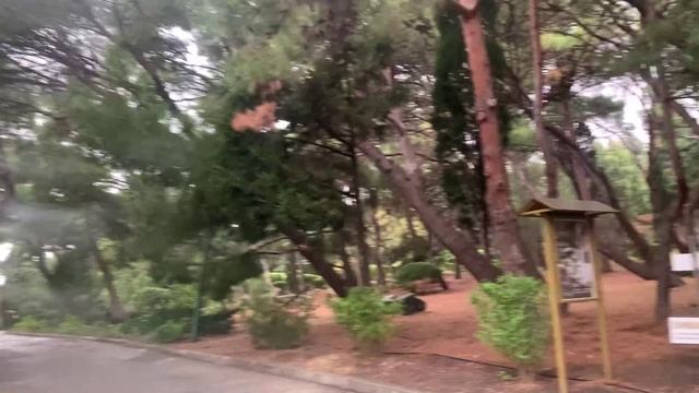 Поездка в Форос. Здания и Парк. Крым. ЮБК. 15.11.2023 смотреть онлайн