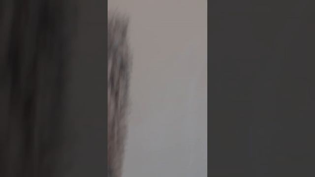 Как обеспылить поверхность. Дешёвый способ. Пипидастр на стройке. смотреть онлайн