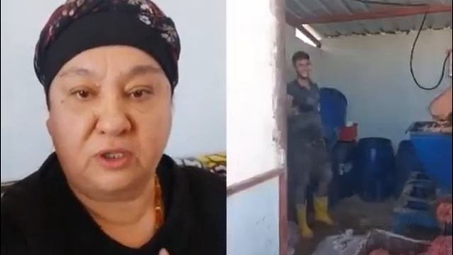 кто покупает фарш смотреть онлайн