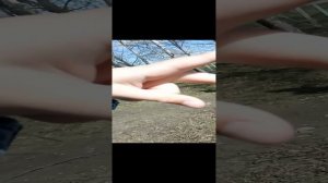 ссора с одноклассницей