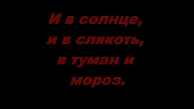 Elena Gothica (Стихи про животных) - "Одинокая кошка" смотреть онлайн