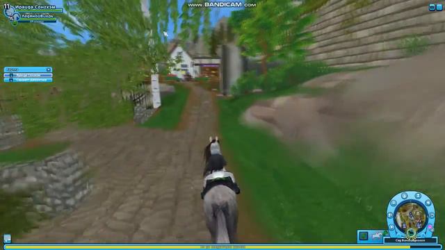 Star Stable.Прохождение#9