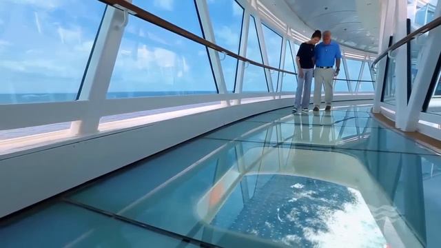 Флагманы Princess Cruises - Лайнеры Regal и Royal Princess смотреть онлайн