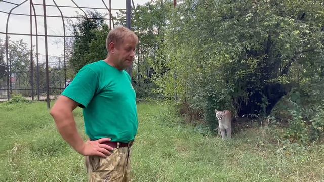 Мы пришли в гости к КАНАДСКОМУ ЛЬВУ, но он был не очень рад нас видеть))) смотреть онлайн