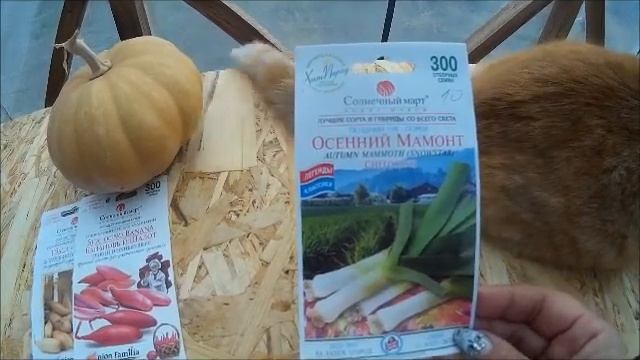 обзор сортов лука на 2021г смотреть онлайн