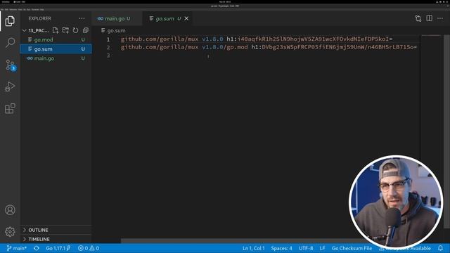 GoLang Packages and Modules | Beginners Go Tutorial смотреть онлайн