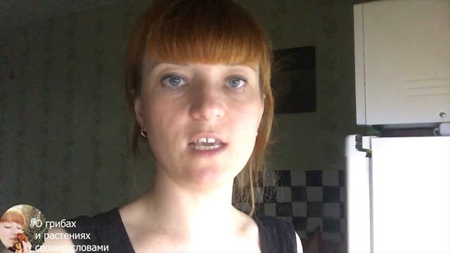 КАК ГОТОВИТЬ ТРУТОВИК СЕРНО-ЖЕЛТЫЙ: Паштет из ТСЖ/ Часть 1 смотреть онлайн