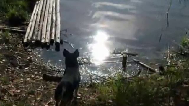 На озере - On lake смотреть онлайн