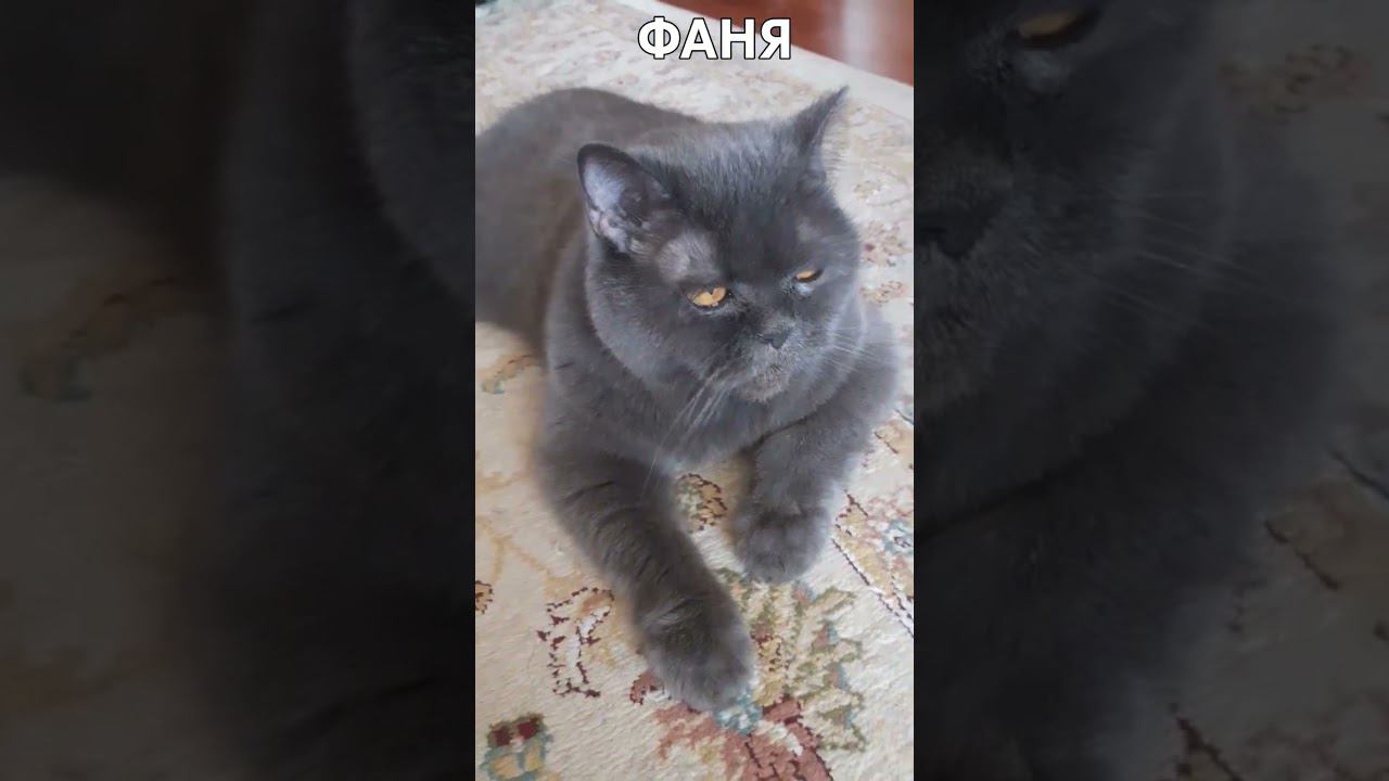 фаня смотреть онлайн