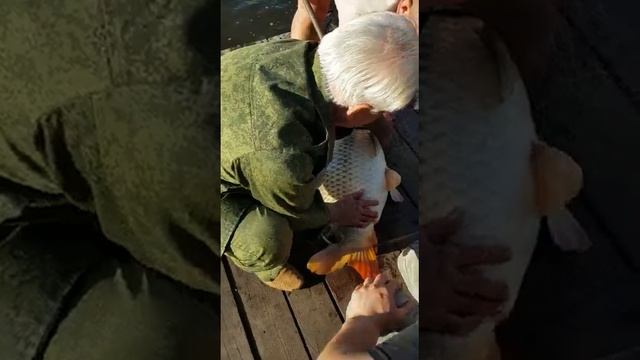 Рыбалка на базе Kazankovka.fish смотреть онлайн