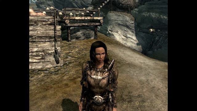 Skyrim Companion Review #5 смотреть онлайн