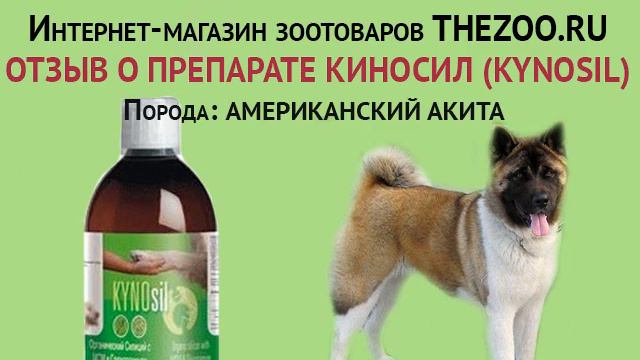 Отзыв: Татьяна Зелинова, Киносил (Kynosil), порода - американский акита смотреть онлайн