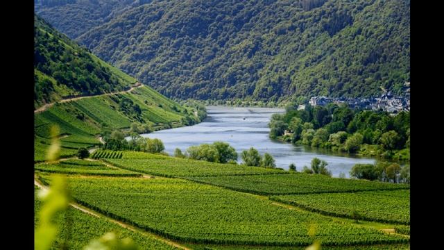 Женский вокал 2022 смотреть онлайн