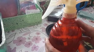 Особенности посева рудбекии .