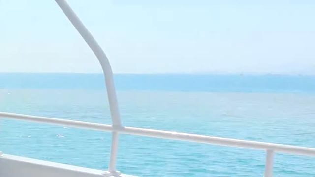 Катание на яхте на остров "Утопия" по Красному морю смотреть онлайн