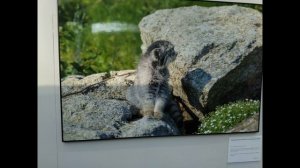 Первозданная Россия  Ландшафты Даурии, Убсунурская котловина