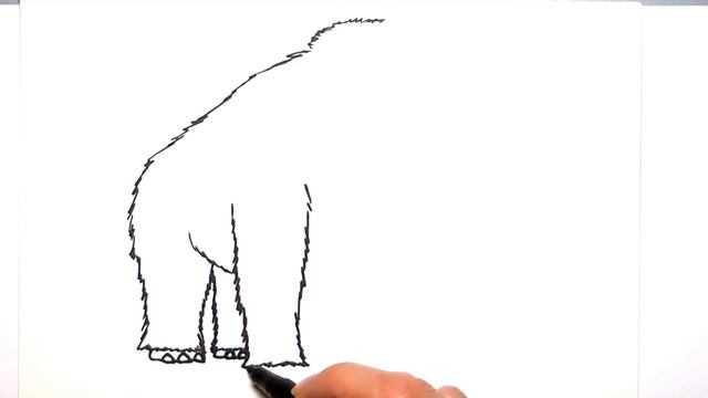 Drawing and Coloring Panda - Learn to Draw Wild Animals From China - Color Pages for Childrens смотреть онлайн