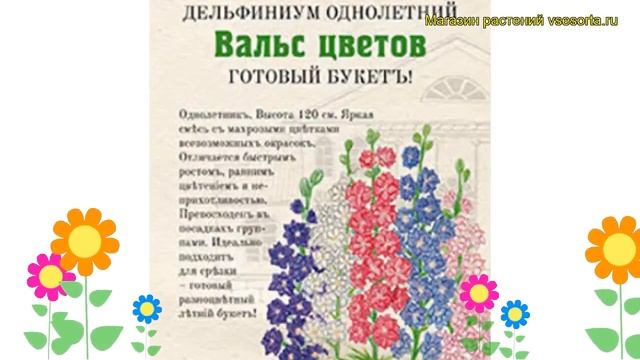Дельфиниум культурный Вальс цветов. Краткий обзор, описание характеристик delphinium ajacis смотреть онлайн
