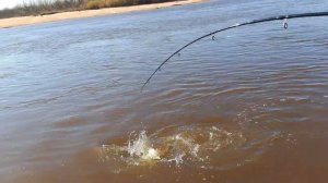 14.10.2023 Нанайский район. Хабаровский край. протока Ори(2)