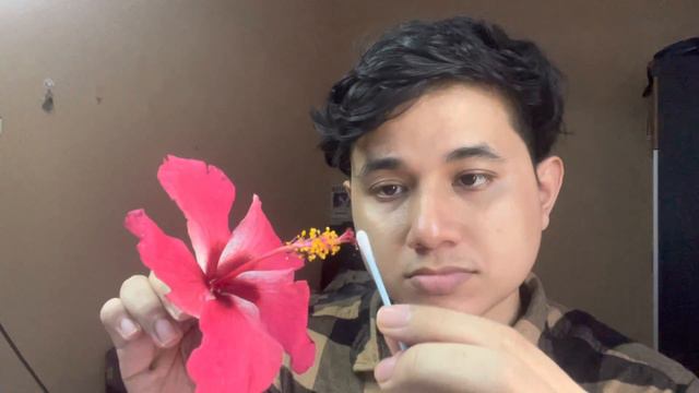 HYBRID SEEDS PRODUCTION AT HOME FOR HIBISCUS (ORNAMENTAL CROPS) смотреть онлайн
