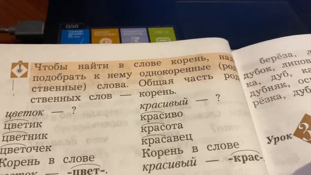 Русский язык/2 класс/Тема: Корень как общая часть родственных слов/13.10.20 смотреть онлайн