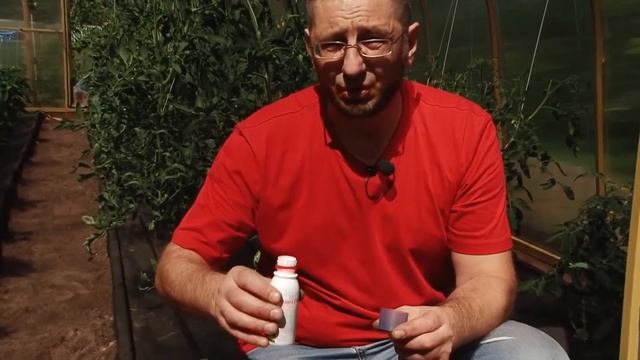 Как избавиться от муравьев на участке смотреть онлайн