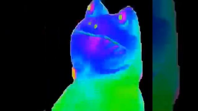 Мем радужная лягушка смотреть онлайн