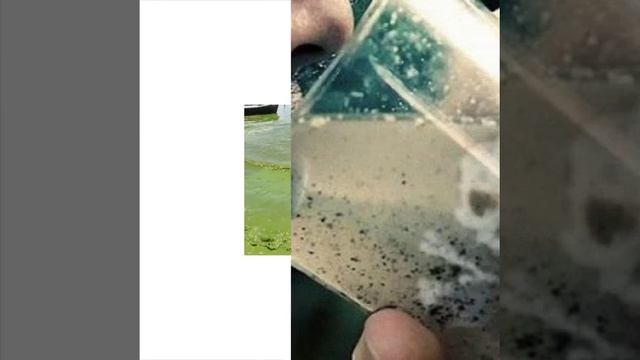 Загрязнение воды смотреть онлайн