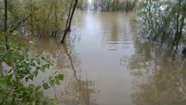 В ЗАЛИВЕ. смотреть онлайн