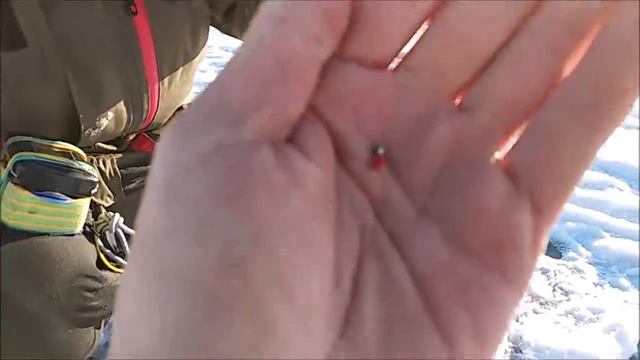 29.11. ПЕРВАЯ РАЗДАЧА СИГА, СНАСТЬ И ОСНАСТКА, СПОСОБ ЛОВЛИ смотреть онлайн